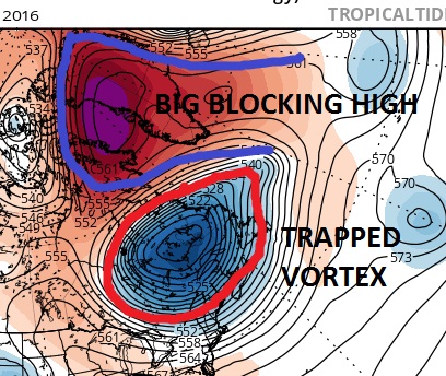 JOESTRADAMUS Long Island Blocking Victim