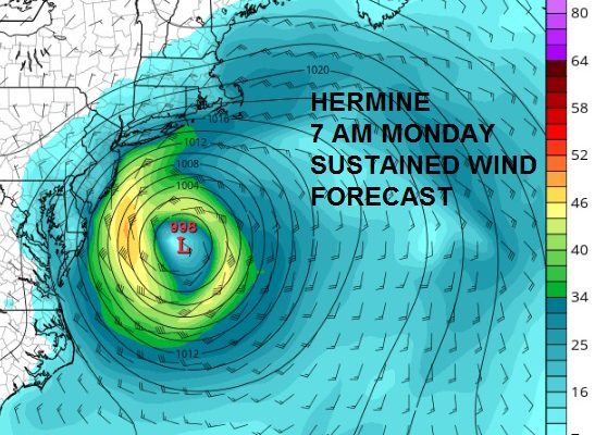 hermine